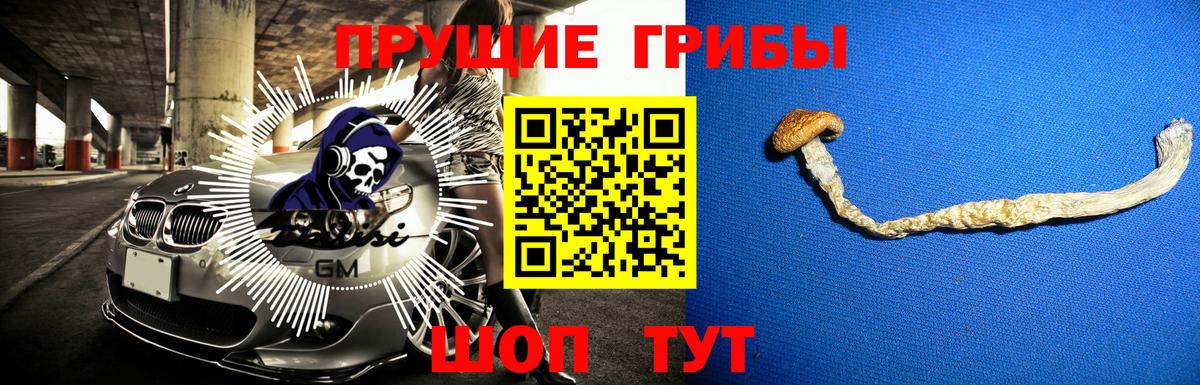 Аша  Галлюциногенные грибы Cubensis  Псилоцибиновые грибы прущие грибы  Вход с VPN 