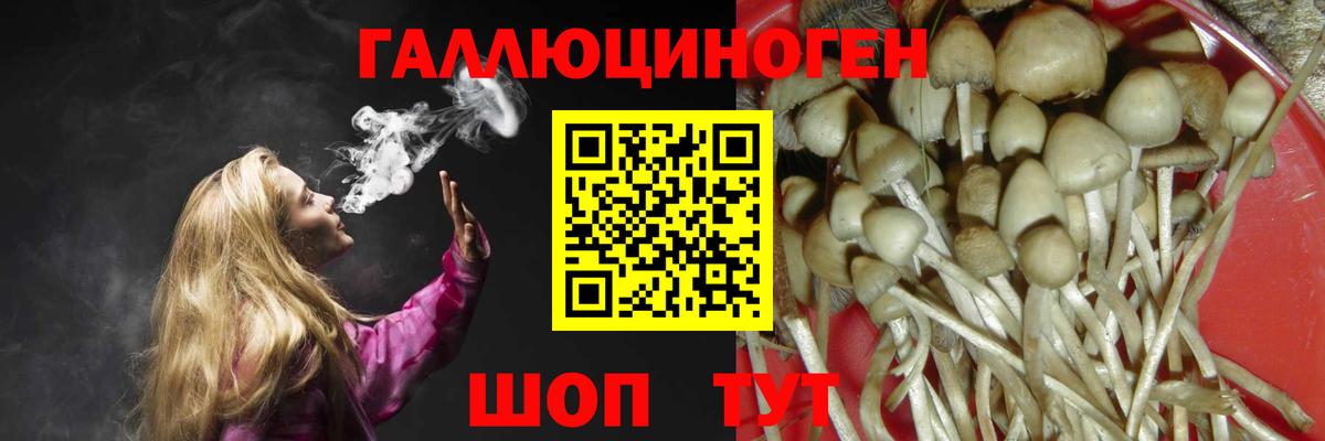 Меф МЯУ МЯУ   Аша  Вход с VPN  МЕТАМФЕТАМИН  ГАШ  Экстази  A PVP СК кристаллы  Конопля 